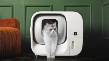 Furbulous: World's First Self-Pack Cat Litter Box